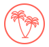 palmera